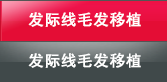 发际线毛发移植