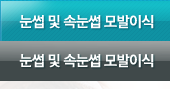 눈썹속눈썹모발이식